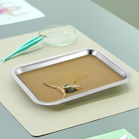 6 Set 10.2" 7.5" iplusmile Dissection Pan with Wax, x Reusable Thicken Stainless Steels Dissection Kit for Laboratory