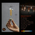 6 Pack ST19 LED Edison Bulbs, 6W (60W Equivalent), Soft White 2700K, Dimmable Vintage Filament Clear Glass