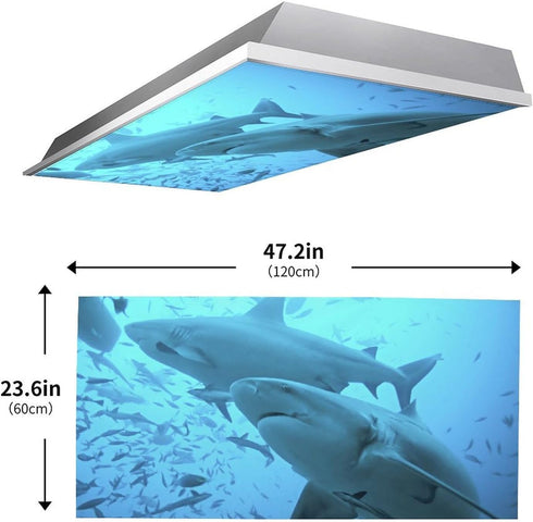 WYNIM 2 Pack School,4 2 Marine Animal Fluorescent Light Cover for Ceiling Light - Magnetic Light Covers Classroom