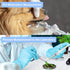 Plastic Syringes, 8pcs No Needle 10ml Liquid Measuring Syringe with Luer Slip Tip for Refilling and Measuring