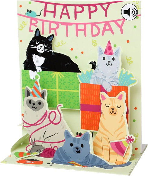 Up With Paper Pop-Up Sight 'N Sound Greeting Card, Feline Birthday, Green, Black, Grey, Orange, White