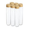 PATIKIL 80ml Plastic Test Tubes with Screw Caps, 6Pcs 156x30mm for Scientific Party Decoration and Lab Use