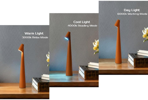 3 LED Desk Lamp with Touch Control, Color Modes, USB-C Rechargeable, Modern Table Light (White, Large)
