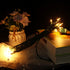 8.6Ft 10 Counts MULTI-SPARKING Christmas Lights Classic Clear Incandescent Mini String Lights Green Wire Warm White