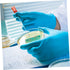 Healeved 10pcs Petri Dishes with Lid, Culture Plate for Blood Samples, Agar Plates, Plastic Disposable