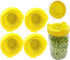 4Pcs GLOGLOW Nan Sprouting Lids, Plastic, Easy Drainage, Fits Jars, Ideal for Growing Broccoli Alfalfa Mung Lentil