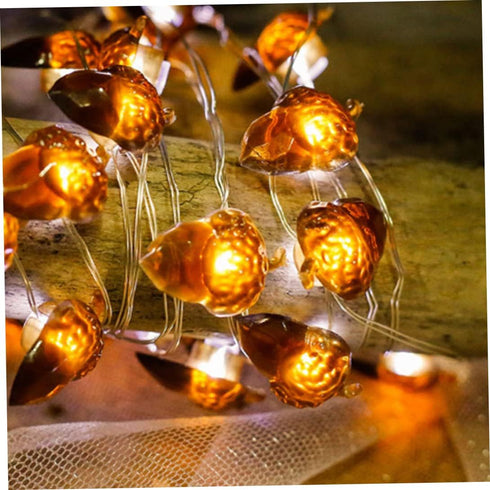 Eioflia 20 2M 8 Christmas Decorations, Acorn String Lights Thanksgiving Fairy Lights LED Remote Control Modes for Fall