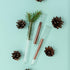 Merkunis 250 Pcs Clear Plastic Test Tubes with Caps, 16 x 100 mm (10 ml) for Scientific Experiments & Parties
