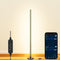 2400 Lumen LED Corner Floor Lamp with APP Control for Pet Rooms,