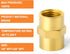 GASHER 2PCS Brass Pipe Fitting Reducer Adapter, 3/8-Inch Female Pipe x 3/8-Inch Female Pipe