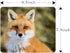 Beautiful Ginger Fox Gaming Mouse Pad, Wild Animal Cub Mum Non-Slip Rubber Mouse Pad for Computers, 9.5 Inch x 7.9 Inch