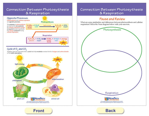 NewPath Learning Photosynthesis & Respiration Bulletin Board Charts, Set of 6 - Laminated, Double-Sided, 12" x 18"