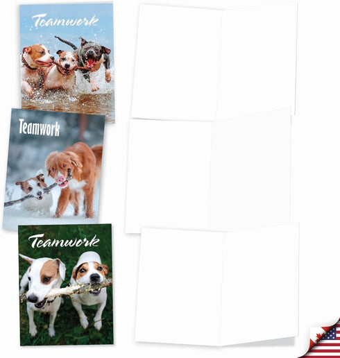The Best Card Company 20 Boxed Dog Cards with Envelopes, Blank Assortment (4 x 5.12 Inch), 10 Designs, 2 Each.