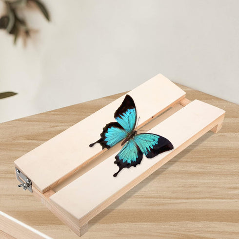 Yardwe Specimen Display Board, Adjustable Labs Boards for Butterfly Mounting Specimen Spreading Wings for Science