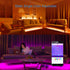WS2812B WS2811 5V~24V SK6812 SK6812-RGBW WS2812 SM16703 Programmable ALITOVE Addressable LED Bluetooth Controller iOS
