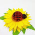 Ladybug 3D Pop Up Greeting Card - Happy Birthday, Mother's Day, Just Because for Kids (Ladybug Pop Up Card)