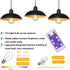 2X 4*AA Battery Operated Outdoor Chandelier for Gazebo Pendant Light Industrial Hanging Lamp with Remote Decorative