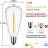 Couah 10 Pack Edison LED Light Bulbs, 0.6 watt E12 Screw Base Replacement Bulbs, LED Shatterproof Bulbs ST38 Clear Plastic Light Bulbs for Outdoor Patio ST38 String Lights, Warm White by Couah