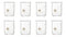 Labnique Borosilicate 3.3 Glass Griffin Beaker, Low Form with Printed Graduation, 250ml (Pack of 8)