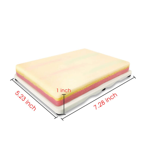 4 3 Medarchitect Venipuncture IV Injection Training Pad Model with Veins Imbedded and Skin Layers for Medical Students