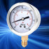 Heayzoki Oil Filled Pressure Gauge, 1/4 BSP Lower Mount, Stainless Steel Liquid Filled, -1-10 bar, Dual Scale
