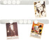 Magnetic Board with 10 Pcs White Magnet - Frameless Stainless Iron Strips with Adhesive Backing