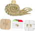 OUNONA Drawer Knob Solid Brass Nautilus Shape Door Knob Unique Retro Brass Cabinet Handle for Drawers Cabinets
