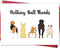 Ziwenhu Cute Thank You Card from Dog, Funny Thank You Gift for