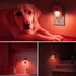 6 Pack KINUR LED red Night Lights Plug into Wall, Dusk to Dawn Sensor Automatic on and Off, Energy efficient, Soft Glow