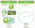 NewPath Learning Protists Bulletin Board Charts, Set of 8, Laminated, Double-Sided, Full-Color, 12" x 18" (94-7017)