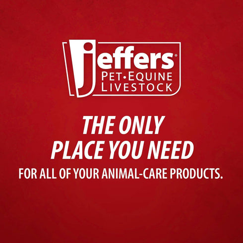 6 Inch Jeffers Needle Holder Scissor Combination, Stainless Steel Surgical Instrument with Locking Forceps, Suture