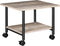 HOOBRO 2-Tier Printer Stand, Industrial Under Desk Cart with Shelf, Mobile Heavy Duty Storage Rack on Wheels, Grey and
