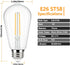 Generic Bulbs, ST58 E26, 3V 2700K 1W, 4-Pack Outdoor Light Replacement Low Voltage, Warm White, Waterproof