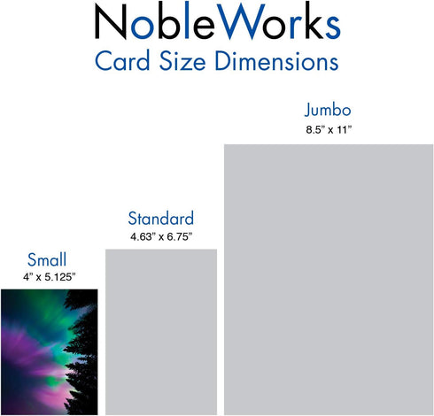 The Best Card Company 20 Landscape Nature Note Cards Blank (4 x 5.12 Inch) - 10 Designs, 2 Each - Aurora Borealis