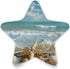 ALAZA Starfish Seashell Rose Flower Star Shaped LED Night Light Dusk to