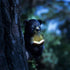 Sitting Bear Tree Hugger with Solar LED Light - Baby Bear Reading Book Garden Statue for Lawn, Yard, Patio Decor
