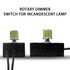 Lights Switch Dimmer Rotary 300W 120VAC for ZE-03A Zing Ear, Brass Knob, Durable Control Repair Kits