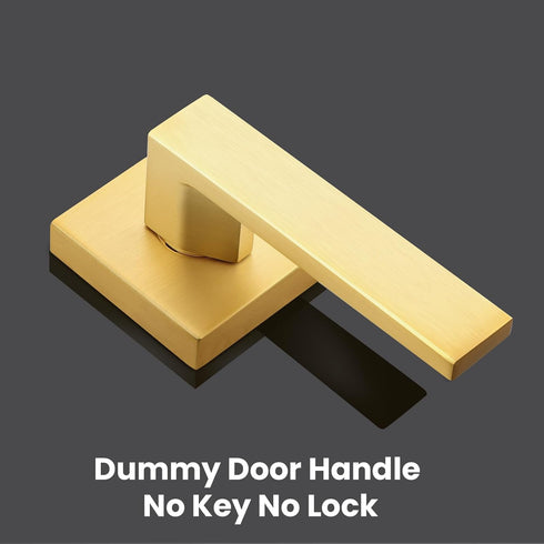 EHOMEWARE 1 Pack Heavy Duty Dummy Door Handle Interior Lever Set, Single Sided Gold Door Knob for Interior Doors, Right/Left Handing