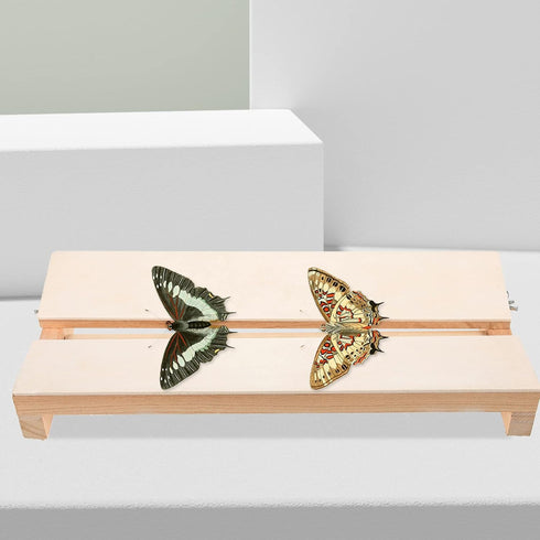 Yardwe Specimen Display Board, Adjustable Labs Boards for Butterfly Mounting Specimen Spreading Wings for Science
