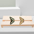 Yardwe Specimen Display Board, Adjustable Labs Boards for Butterfly Mounting Specimen Spreading Wings for Science