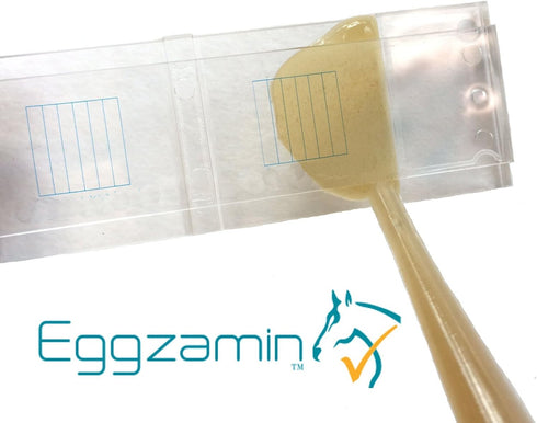 McMaster Method Microscope Slide - FEC (Fecal Egg Count) Double Chamber Slide for Parasite Testing