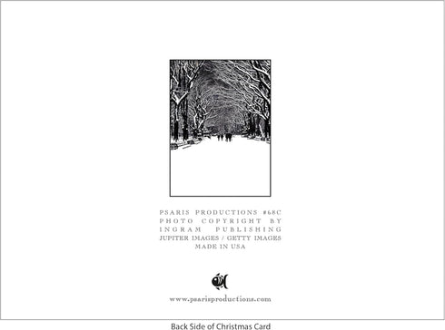 Bridge Lights and Snow Christmas Cards, Boxed Set of 12 Holiday Cards with Envelopes, Made in USA