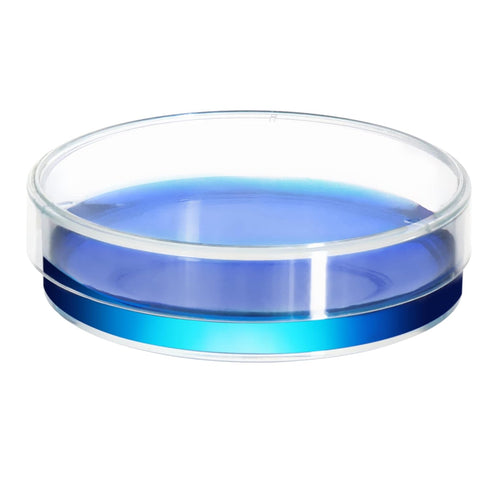 Sterile Plastic Petri Dishes with Lid, 20 PCS Dia.150mm*15mm Clear Petri Plates for Classroom/Laboratory