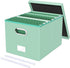 Oterri File Organizer Box with Lid, Portable Hanging File Box for Letter/Legal Storage, Mint-green Leather, 1 Pack