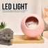 Yosoo Cat Pet House, Cute USB Charging LED Night Lamp, Little Pet House