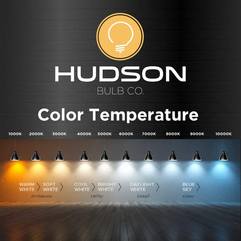 Hudson Vintage LED Edison Light Bulbs, 6W, 2200K Dimmable Warm Light, 60W Equivalent, E26/27 Base, 6 Pack