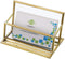 Hipiwe Vintage Gold Metal Business Card Holder Stand, Office Desktop Countertop Name Card Display Organizer