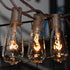 10-Pack Bulbs, 7-watt E17 ST40 Bulbs Bulb SUNSGNE Edison Light Screw Base Replacement Clear Glass Incandescent Light