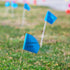 Zozen 50 Pack Blue Marking Flags, 15x4x5 Inch Yard Flags for Lawn, Irrigation, Landscape, and Sprinkler Marking