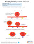 3D (24-7782) NewPath Blood Type Testing Paper Model Making Kit - Individual Student Edition